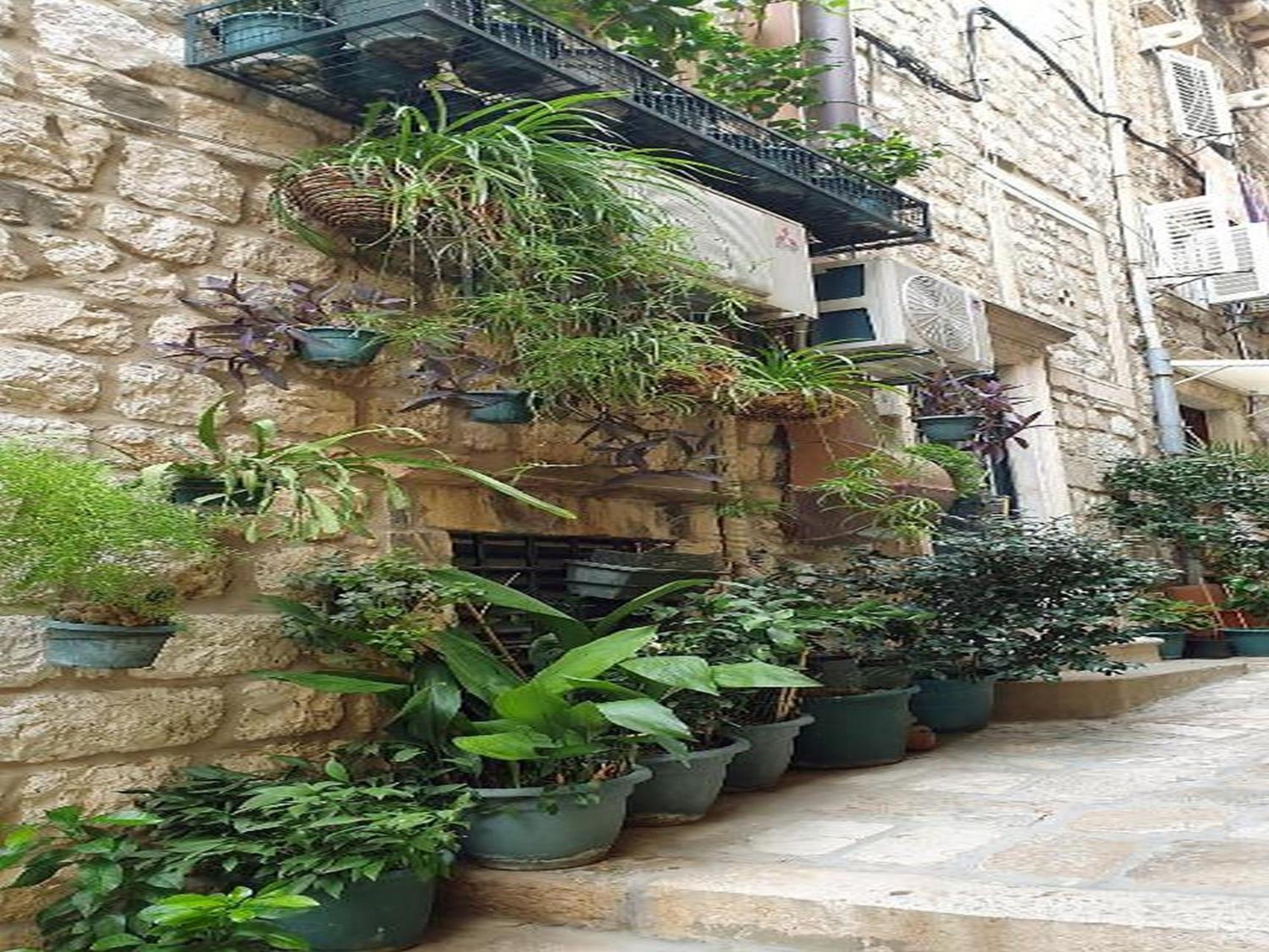 Pk Apartments - Dubrovnik Cameră foto